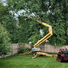 Best Lawn Disease Treatment  in Summit, WA