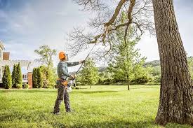 Best Tree Risk Assessment  in Summit, WA